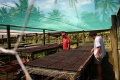 From seed....